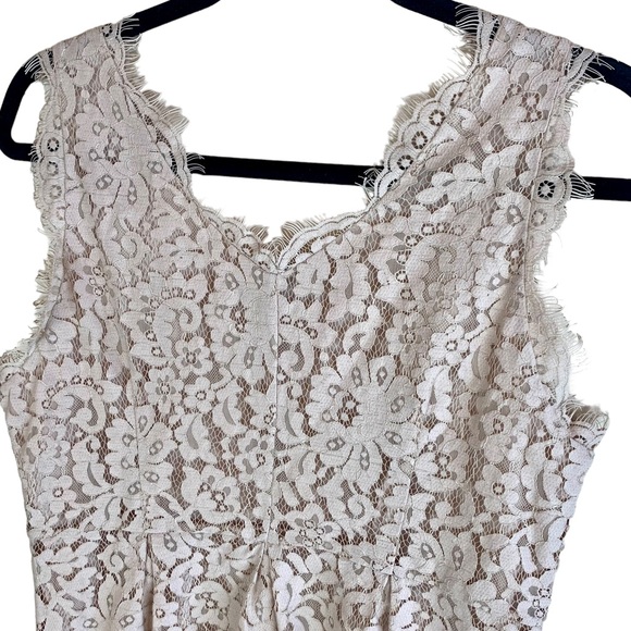 Joie Rori Lace Fringe Mini Dress Mushroom Tan Champage - Picture 13 of 14